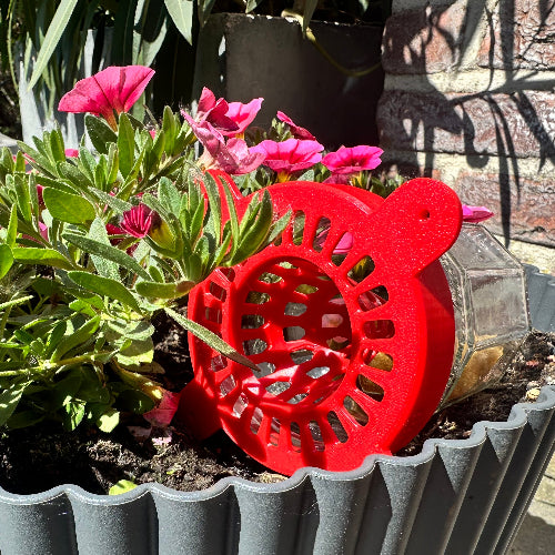 Hoornaarsval, liggend in bloempot.
