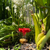 Hoornaarsval, rechtopstaand tussen bloemen.