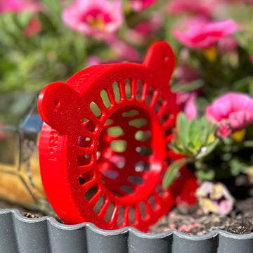 Hoornaarsval, liggend tussen bloemen in bloempot.