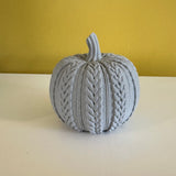 Pompoenen herfstdecoratie – set van 3 in pastel